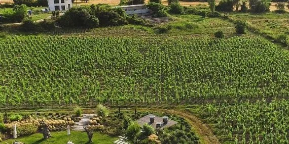 İzmir “Tercih Edilen Destinasyon” olmak için finalde haberi