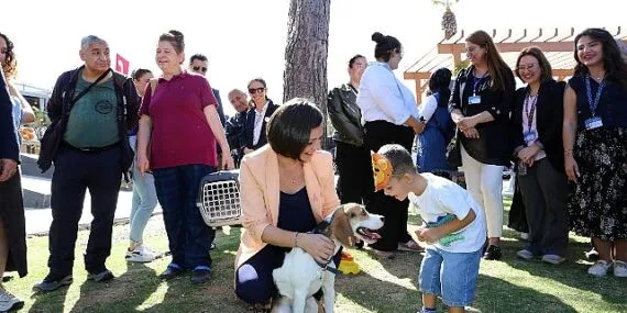 Karabağlar Belediyesi’nden sokak hayvanlarına modern hizmet haberi