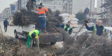Kayseri Büyükşehir 'yeşil Kayseri' için çalışıyor haberi