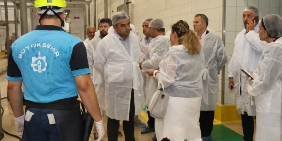 Kocaeli Büyükşehir Mezbahası'nda 6 bin 832 kesim yapıldı haberi