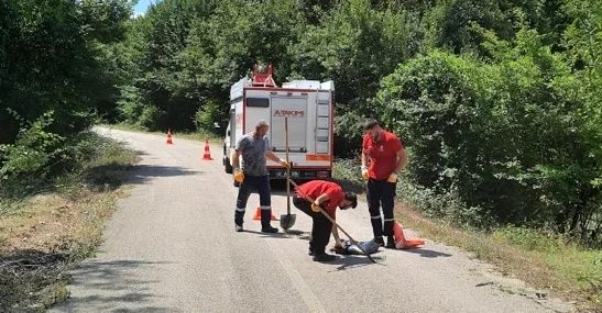 Kocaeli'nin A Takımı, yıl boyunca "Hızır" gibi yetişti haberi