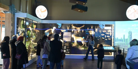 Konya müzeleri 2024’te 1 milyon 132 bin ziyaretçiyi ağırladı haberi