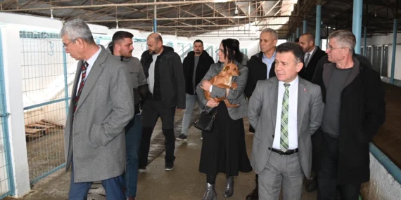 Manisa'da Sokak Hayvanları Komisyonu toplandı haberi
