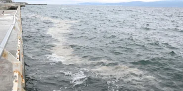 Marmara'daki müsilaj tehdidi Gemlik Körfezi'nden incelendi haberi