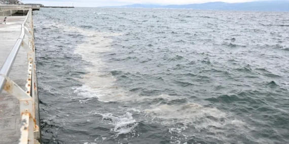 Marmara'daki müsilaj tehdidi Gemlik Körfezi'nden incelendi haberi