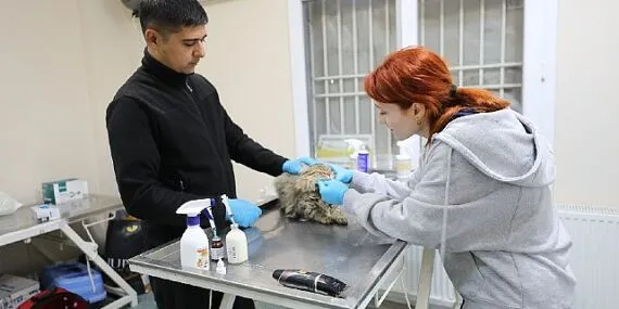 Menderes Belediyesi’nden Can Dostlara Müjde haberi