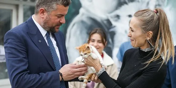 Mucize, Buca Belediyesi veterinerleri sayesinde hayata tutundu haberi