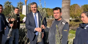 Muğla Dalaman'da zeytin ve ceviz fidanları dağıtıldı haberi