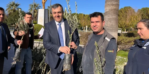 Muğla Dalaman'da zeytin ve ceviz fidanları dağıtıldı haberi