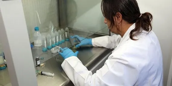 Muğla’nın Tohumları Türkiye’nin Topraklarıyla Buluşuyor haberi