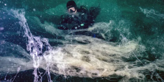 Müsilaj yeniden yayılıyor… Prof. Dr. Sarı: Artık iş uygulayıcılardadır haberi