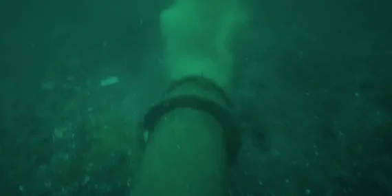 Prof. Dr. Mustafa Sarı: Kendinizi de, insanları da kandırmayın! haberi