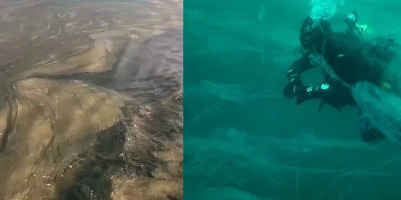 Prof. Dr. Sarı: İlkbaharda müsilaj Marmara'yı kaplayacak haberi