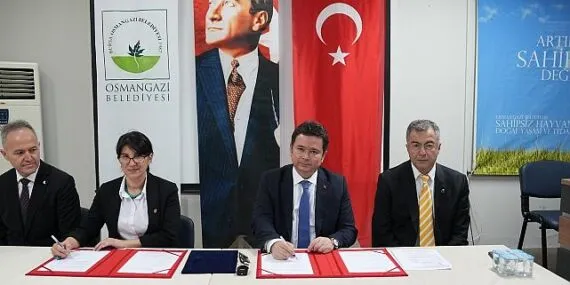 Sahiplenilen köpeklerin ilk aşısı ve muayenesi Osmangazi Belediyesi’nden haberi