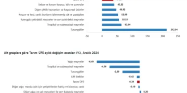 Turunçgiller tarım ürünlerinin gözdesi haberi