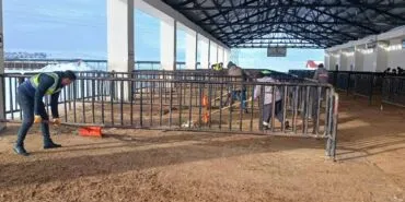 Bayburt Canlı Hayvan Pazarı Yeniden Açılıyor! Haberi