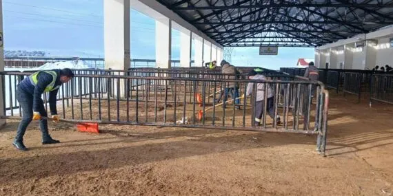 Bayburt Canlı Hayvan Pazarı Yeniden Açılıyor! Haberi