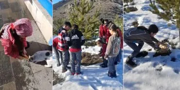 Bayburt'ta Öğrencilerden Örnek Davranış, Sokak Canlarını Unutmadılar Haberi