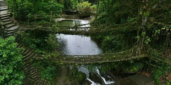 3 Bölümden Oluşan ‘Vahşi Hindistan’ 1 Mart Cumartesi Günü 20.00’de National Geographic WILD Ekranlarında Başlıyor! haberi