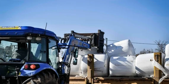 ABB'den üreticiye mısır silajı desteği haberi