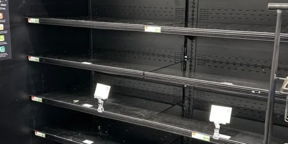 ABD'de kuş gribi yumurtayı vurdu! Raflar boş kaldı! haberi