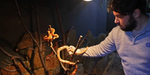 Antalya Doğal Yaşam Parkı’nda soğuk hava önlemi haberi