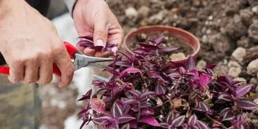 Bilinçli Tarımsal Üretim İçin Eğitim Zamanı haberi