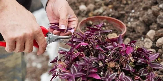 Bilinçli Tarımsal Üretim İçin Eğitim Zamanı haberi