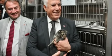 Bursa Büyükşehir'den can dostlar için önemli adım haberi