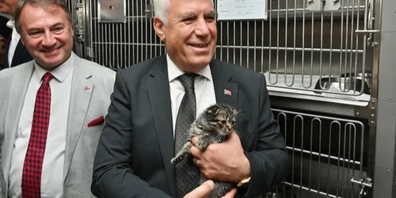 Bursa Büyükşehir'den can dostlar için önemli adım haberi