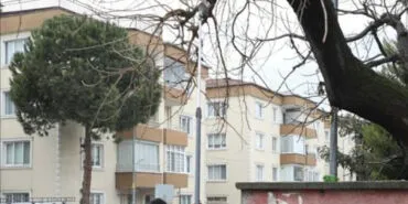 Bursa İnegöl'de ağaç budama çalışmaları sürüyor haberi