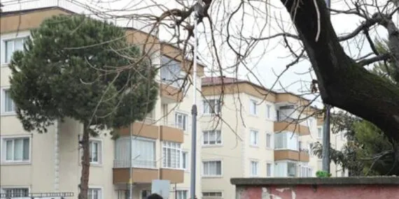 Bursa İnegöl'de ağaç budama çalışmaları sürüyor haberi