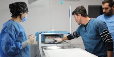 Bursa Mudanya'da sahipsiz hayvanlara şefkat haberi