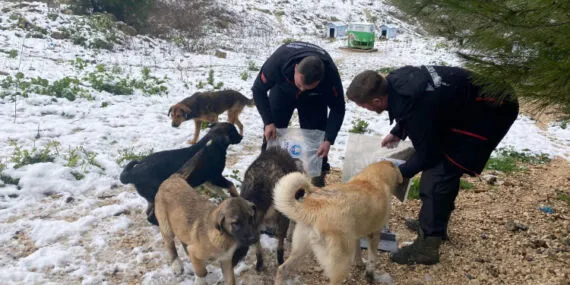 Bursa Mudanya'nın yüksek kesimlerinde kar mesaisi haberi