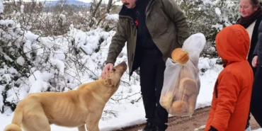 Bursa Yenişehir'de yaban hayatına 'kış'desteği! haberi