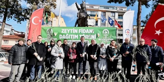 Denizli'de zeytin fidanları toprakla buluşuyor haberi