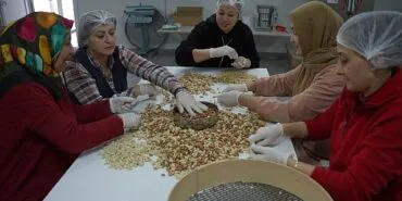 Deprem Bölgesinde Kadın Kooperatiflerinin Umut ve Dayanışma Hikayesi: “Yeniden” Digiturk’te haberi