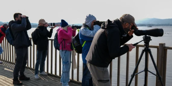Dünya Sulak Alanlar Günü, 'Flamingo Şenliği' ile kutlandı haberi