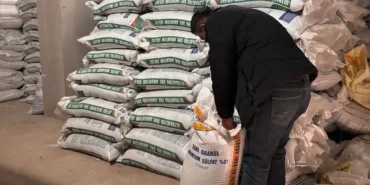 Edirne İpsala'da gübre denetimleri sıklaştı haberi