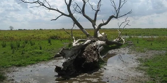 Ekosistemlerin Kırılganlığına Sinema Merceğinden Bir Bakış Cinema Ecologica Seçkisi Akbank Sanat’ta haberi