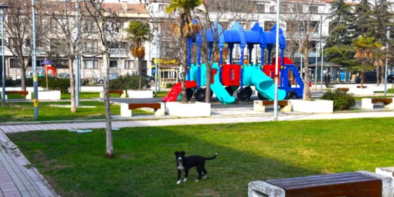Gemlik'in parklarda çevresi değişiyor haberi