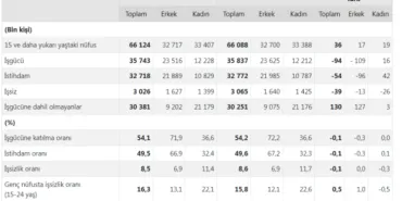 İşgücü istatistikleri yayımlandı... İşsiz sayısı 39 bin kişi azaldı haberi
