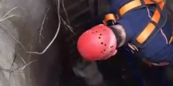 İstanbul Çatalca'da kuyuya düşen köpek kurtarıldı haberi