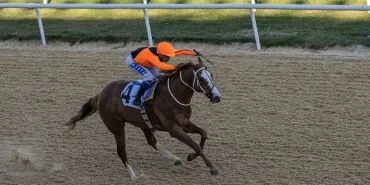İzmir Büyükşehir Belediye Başkanlığı Koşusu’nu Wardenclyffe kazandı haberi