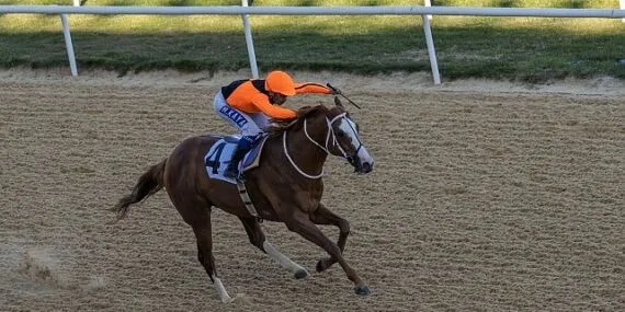 İzmir Büyükşehir Belediye Başkanlığı Koşusu’nu Wardenclyffe kazandı haberi