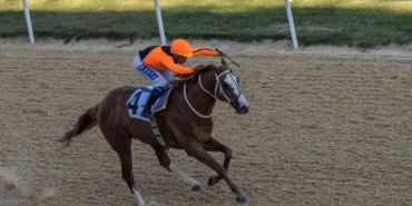 İzmir Büyükşehir Belediye Başkanlığı Koşusu’nu Wardenclyffe kazandı haberi