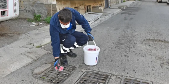 İzmir Karabağlar'da erken dönem sinek mücadelesi başladı haberi