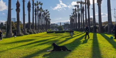 İzmir'de Kültürpark yeniden doğuyor haberi