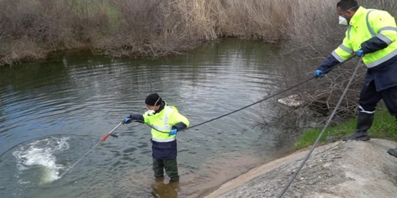 İzmir'de sivrisinek ve haşereyle mücadele sürüyor haberi