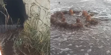 İzmir'e milyon liralık yeni bir atık su cezası daha! haberi